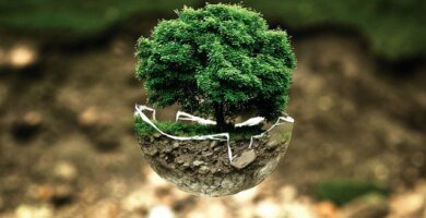 cum sa protejati mediul inconjurator