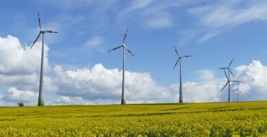 Turbine eoliene într-un câmp, exemplu de energie regenerabilă