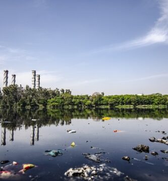 poluare a apei efect asupra umanitatii